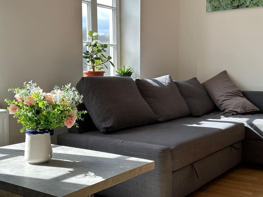Wohnung Am Schloss 2 - Bestes Apartment In Weilburg Eksteriør billede